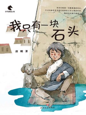 cover image of 我只有一块石头